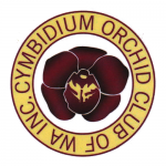 Cymbidium Orchid Club of WA