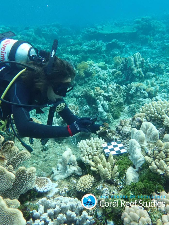 Coral Reef Studies