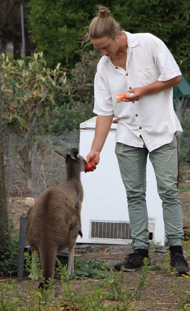 Steven Piacun feeding a tame kangaroo at the farm