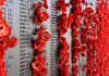 A memorial wall with poppies