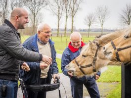 Two patients and a carer feeding a horse