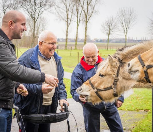 Two patients and a carer feeding a horse