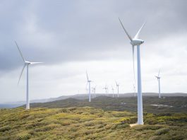 Albany Wind Farm turbines generate around 75 per cent of green electricity for Albany