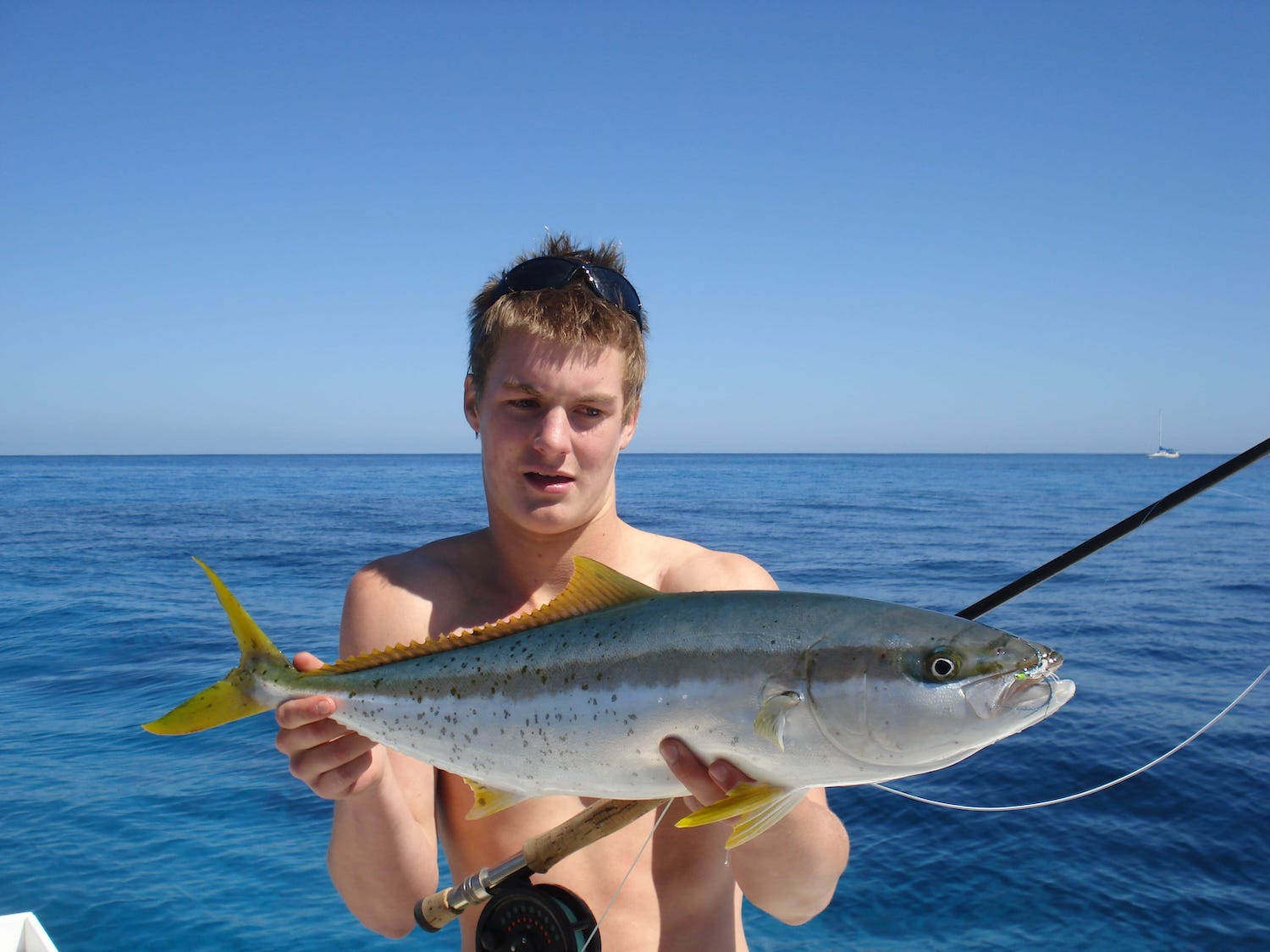 Going fishing - great tips for catching local yellowtail kingfish